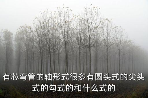 有芯彎管的軸形式很多有圓頭式的尖頭式的勾式的和什么式的