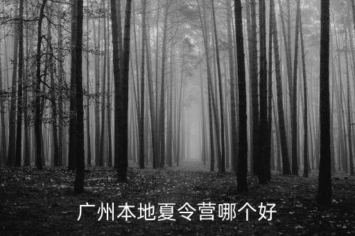 廣州本地夏令營哪個好