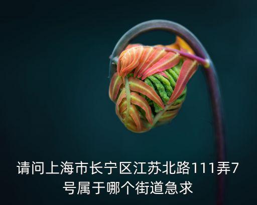 上海市江蘇北路是什么區，上海市江蘇北路85號屬那個區