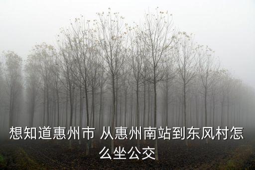 惠陽區東風鎮到廣州南站怎么坐車，想知道惠州市 從惠州南站到東風村怎么坐公交