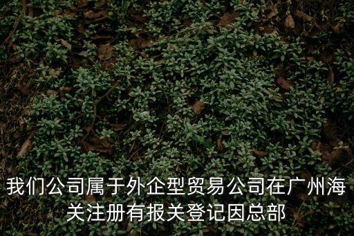 我們公司屬于外企型貿易公司在廣州海關注冊有報關登記因總部