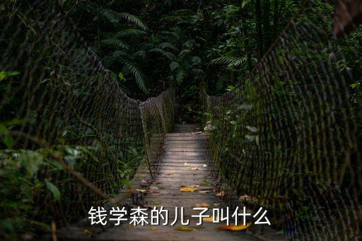 錢學(xué)森的兒子叫什么