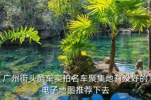 廣州街頭酷車實拍名車聚集地有沒好的電子地圖推薦下去