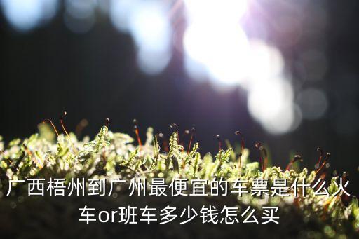 金輝汽車站有到廣州省站嗎，梧州金輝汽車站至廣州是在哪個終點客運站