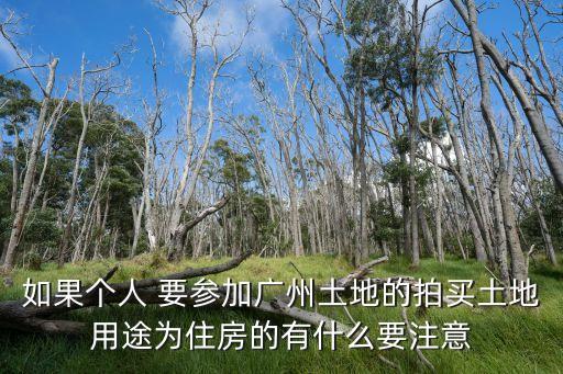 廣州數博大道土地拍賣，如果個人要參加廣州土地的拍買土地用途為住房的有什么要注意的謝謝