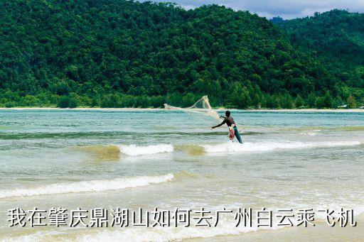 我在肇慶鼎湖山如何去廣州白云乘飛機(jī)