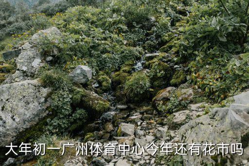 大年初一廣州體育中心今年還有花市嗎