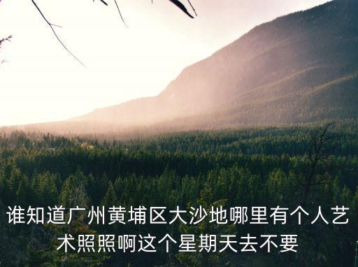 廣州黃埔區迪佳數碼影樓，地址 廣州黃埔區大沙地工業區豐樂路91號 這兒是干什么的有沒有網