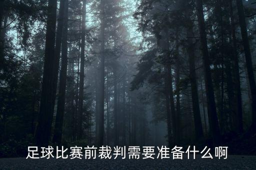 廣州賽區裁判標準，廣州有奧運會分賽區嗎