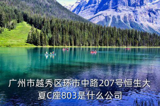 廣州市越秀區環市中路207號恒生大夏C座803是什么公司