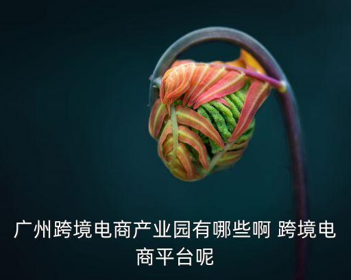 廣州跨境電商產(chǎn)業(yè)園有哪些啊 跨境電商平臺呢