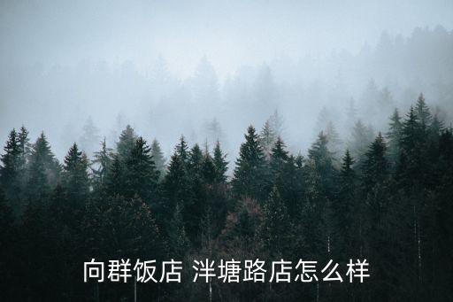 向群飯店 泮塘路店怎么樣