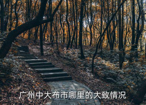 廣州中大有多少個檔口，廣州中大布市哪里的大致情況