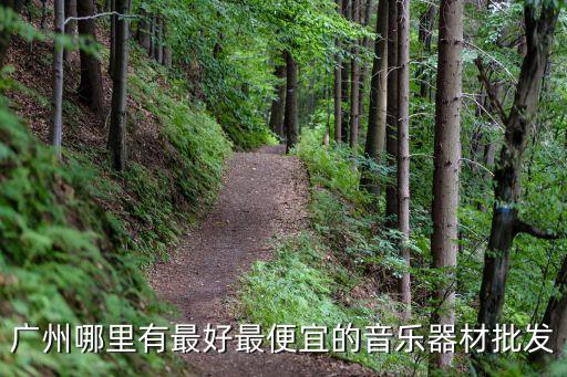 廣州哪里有最好最便宜的音樂器材批發