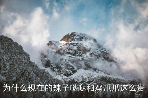 廣州金鳳區(qū)今年雞爪辣椒價(jià)格，辣媳婦雞爪多錢一袋