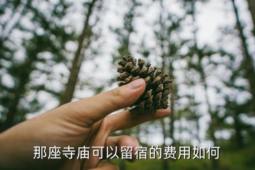 廣州寺廟可以掛單嗎，在廣州有哪些寺院可以掛單