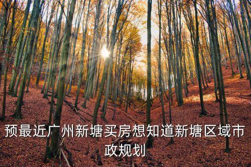 預最近廣州新塘買房想知道新塘區域市政規劃