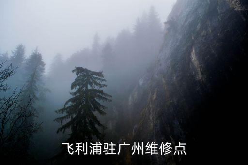 廣州oralb售后，廣州修飛利浦剃須刀的地方哪里有