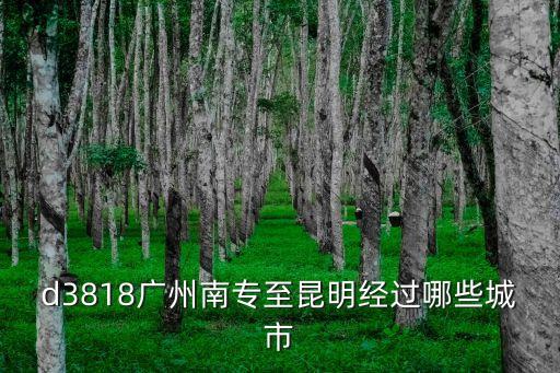 d3818廣州南專至昆明經過哪些城市