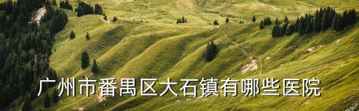 廣州市番禺區(qū)大石鎮(zhèn)有哪些醫(yī)院