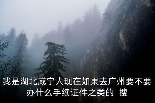我是湖北咸寧人現(xiàn)在如果去廣州要不要辦什么手續(xù)證件之類的  搜
