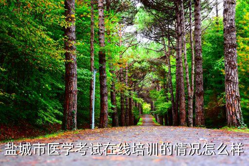 廣州星火網校鹽城分校，鹽城市開發區商業街屬于哪個校區