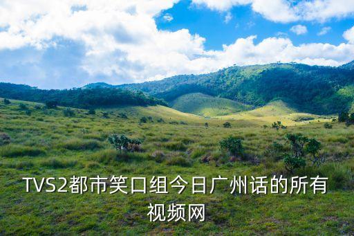 廣州茅草房視頻，廣州的都來看