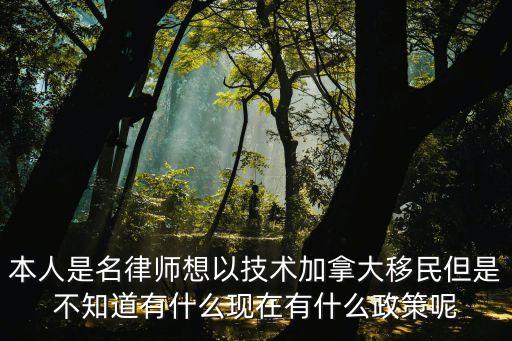本人是名律師想以技術(shù)加拿大移民但是不知道有什么現(xiàn)在有什么政策呢