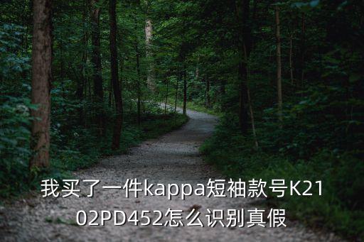 我買了一件kappa短袖款號K2102PD452怎么識別真假