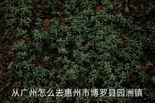 從廣州怎么去惠州市博羅縣園洲鎮(zhèn)