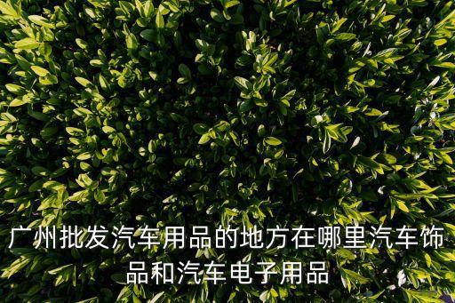 廣州多美車用品，廣州哪些地方賣汽車用品