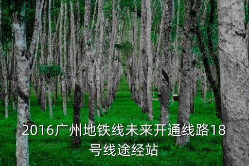 2016廣州地鐵線未來開通線路18號線途經站