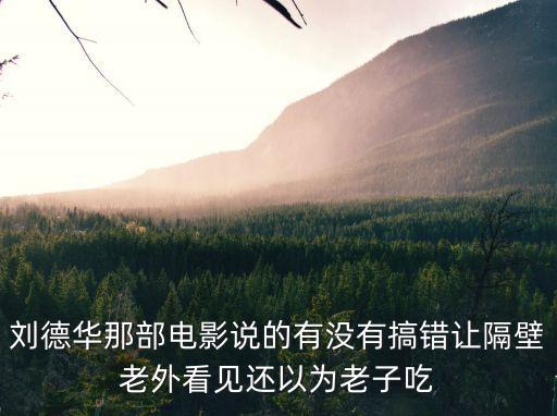 劉德華那部電影說的有沒有搞錯讓隔壁老外看見還以為老子吃