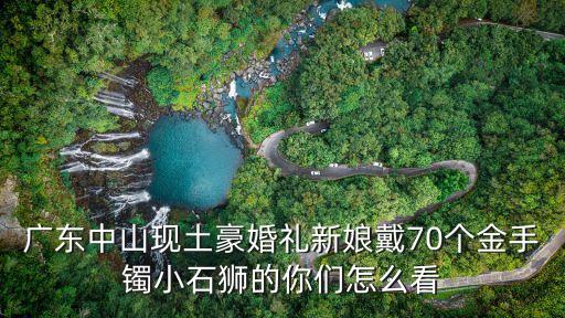 廣州土豪新娘結婚視頻，廣東中山現土豪婚禮新娘戴70個金手鐲小石獅的你們怎么看