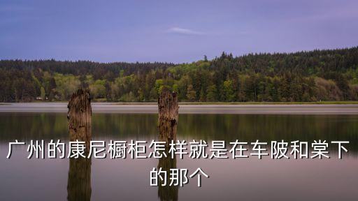 廣州的康尼櫥柜怎樣就是在車陂和棠下的那個