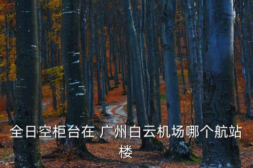 全日空柜臺在 廣州白云機場哪個航站樓