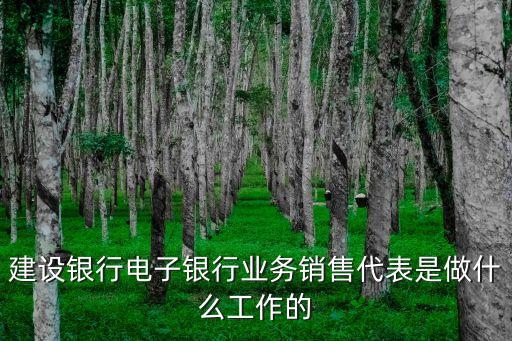 建設銀行電子銀行業務銷售代表是做什么工作的
