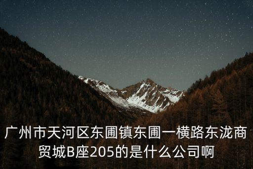 廣州市天河區東圃鎮東圃一橫路東瀧商貿城B座205的是什么公司啊