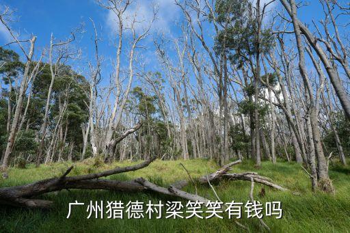 廣州獵德最富村，廣州獵德村梁笑笑有錢嗎