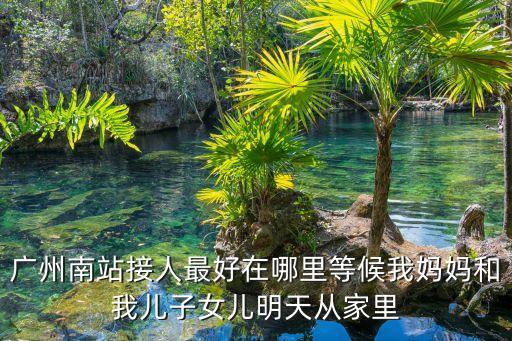 廣州南站接人最好在哪里等候我媽媽和我兒子女兒明天從家里