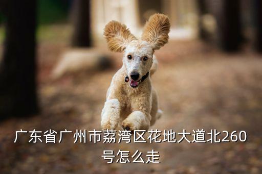 廣州紅棉苑是哪個街道，廣州市荔灣區芳村紅棉苑26棟屬于荔灣區什么街什么社區管轄
