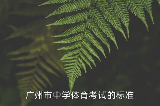 廣州中考體育長跑可以考多少次，2010廣州中考體育