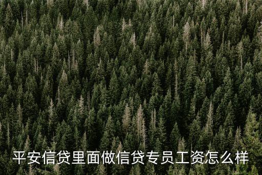 廣州平安銀行個貸部職員，您好我想請教您廣州平安銀行信貸員具體有什么待遇和福利假期
