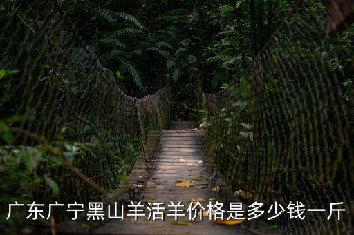 廣州頂級(jí)黑山羊，廣東廣寧黑山羊活羊價(jià)格是多少錢一斤