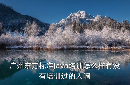 廣州熱點(diǎn)軟件公司怎么樣，廣州東方標(biāo)準(zhǔn)Java培訓(xùn)怎么樣有沒有培訓(xùn)過的人啊