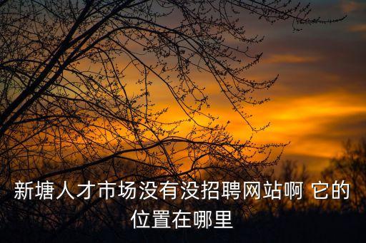 新塘人才市場沒有沒招聘網(wǎng)站啊 它的位置在哪里
