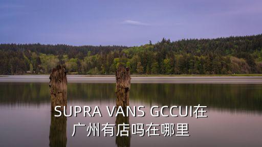 SUPRA VANS GCCUI在廣州有店嗎在哪里