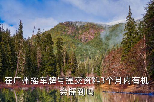 在廣州搖車牌號提交資料3個月內有機會搖到嗎