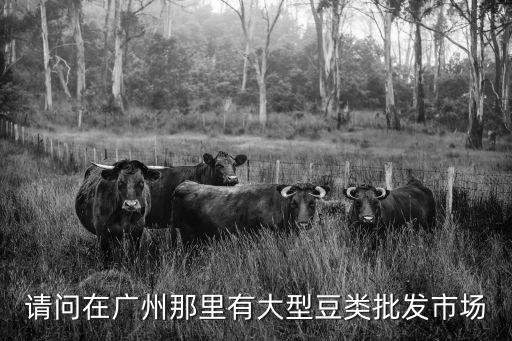 請問在廣州那里有大型豆類批發市場