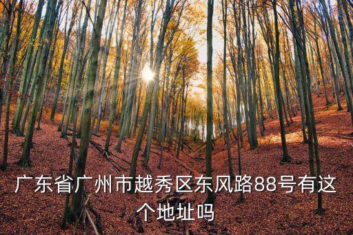 廣州威爾電器三東大道，廣州花都區花山鎮新河村三東大道有個石尚街生產基地嗎